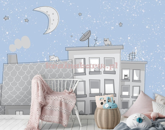 Fototapeta 13527 Nocne Koty