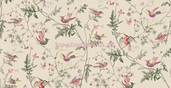 Tapeta 100/14071 Hummingbirds