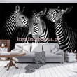 Fototapeta 11761 Zebry