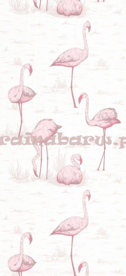Tapeta 95/8045 Flamingos