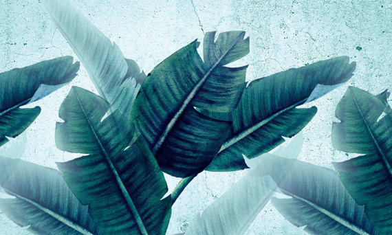 Tapeta Artystyczna Huge leaves