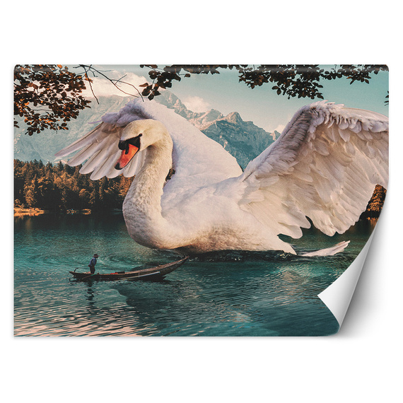 Fototapeta Wielki łabędź - Zehem Chong