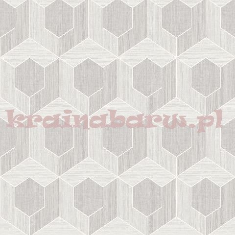 Tapeta RM70407 Zircon