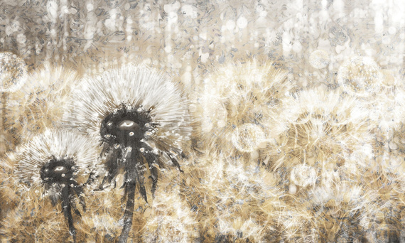 Tapeta Artystyczna Dandelion