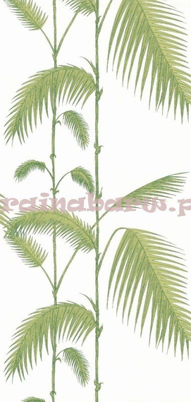 Tapeta 95/1009 Palm