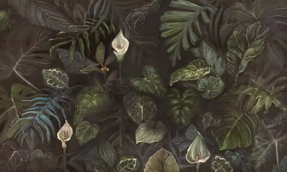 Fototapeta Kwiaty w zieleni Calla