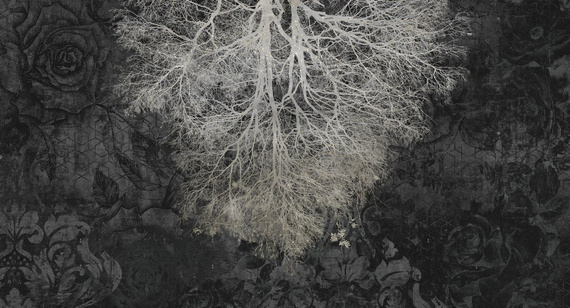 Fototapeta Expansion Theory