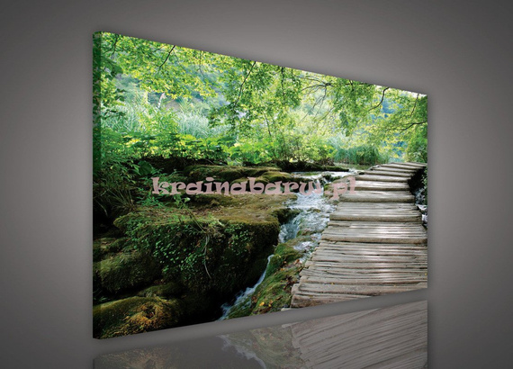 Obraz na płótnie PP1526 Drewniana kładka