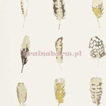 Tapeta 111072 Amazilia