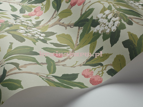 Tapeta 100/10048 Strawberry Tree