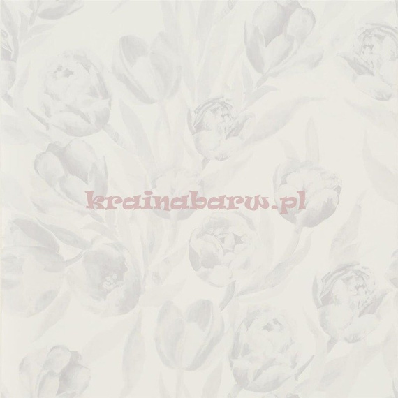 Tapeta PDG685/03 Marquisette