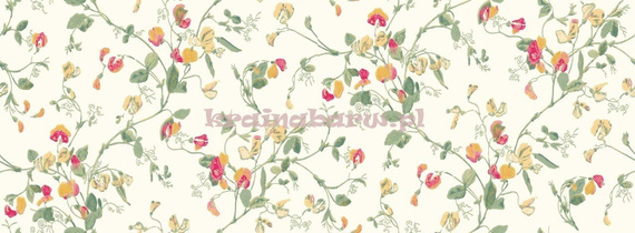 Tapeta 100/6027 Sweet pea