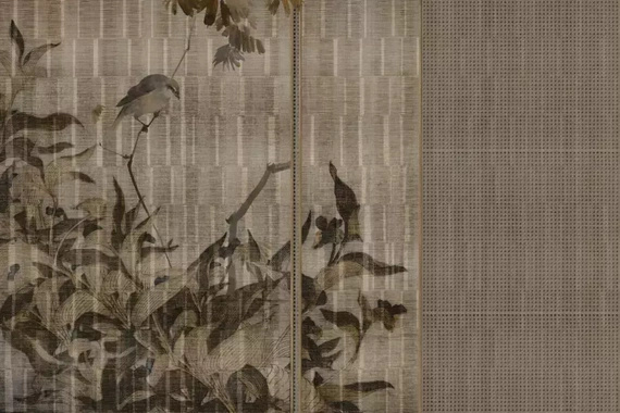 Fototapeta Glamora Tori