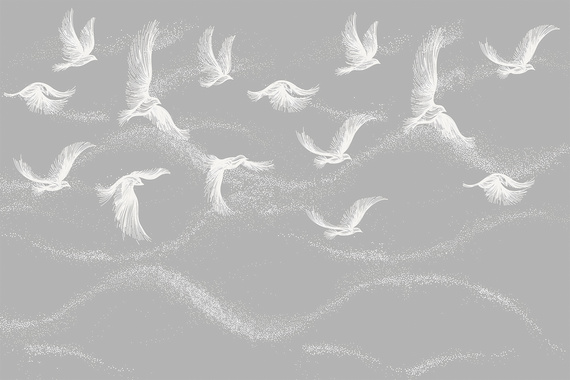 Fototapeta Srebrne Ptaszki