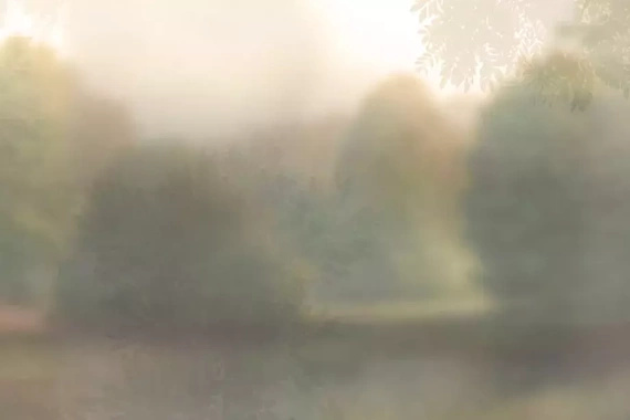 Fototapeta Glamora Wild