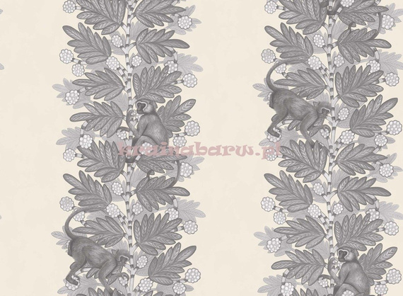 Tapeta 109/11053 Ardmore