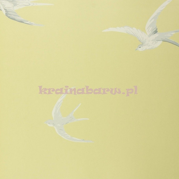 Tapeta DVIWSW101 Vintage