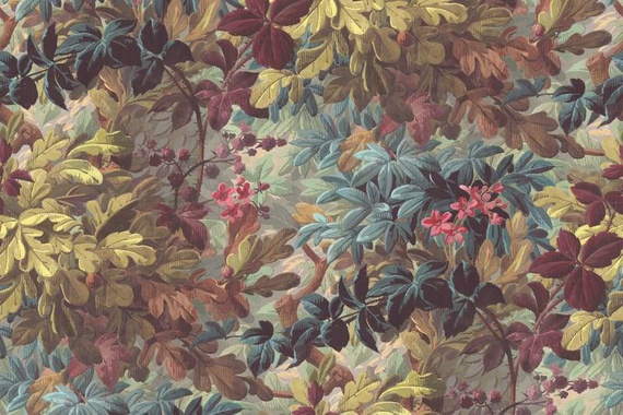 Fototapeta Vinum Raspeys