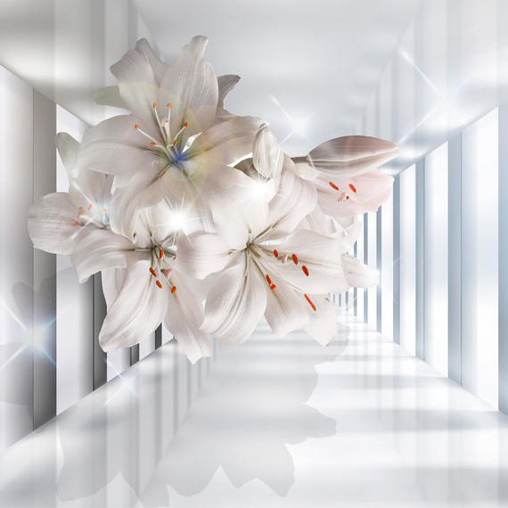 Fototapeta do pokoju Kwiaty w korytarzu 3D