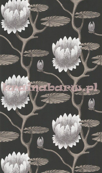 Tapeta 95/4026  Summer Lily