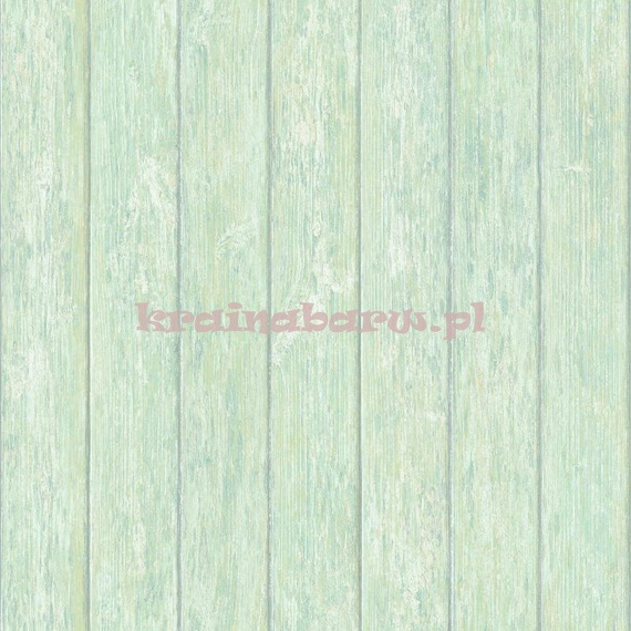 Tapeta G56440 Global Fusion