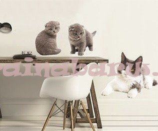 Naklejki na ścianę TRZY KOTKI SNC360