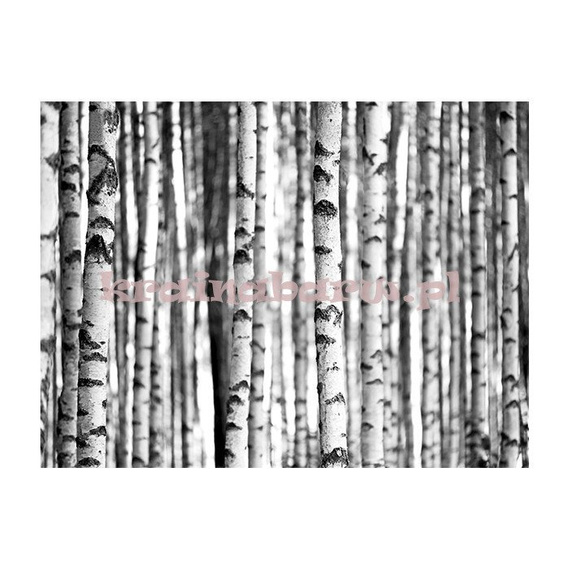 Panel SG42300M Sage II