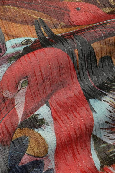 Fototapeta Kolorowe Ptaki Accent 1