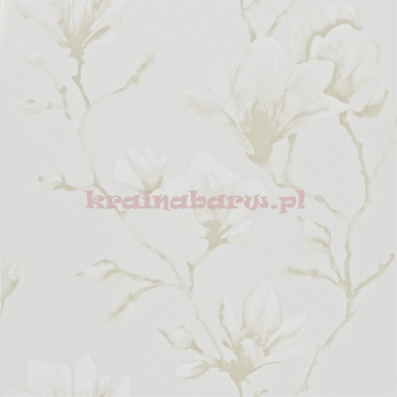 Tapeta 110877 Momentum