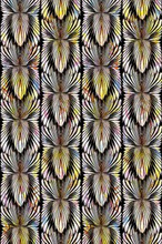 mural ekskluzywny RC 19122 Roberto Cavalli ornamenty