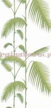 Tapeta 95/1009  Palm