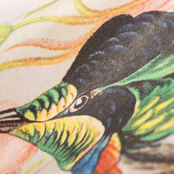 Tapeta Fototapeta  26993 Tropical mural Birds Paradise 