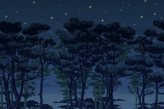 Fototapeta Zaczarowany Las