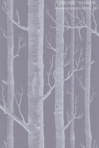 Tapeta 69/12151 Woods