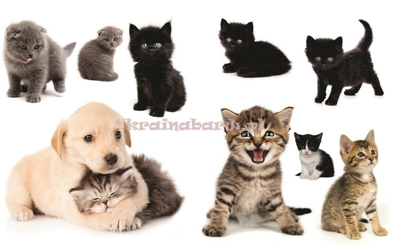 Naklejki na ścianę KOTKI I PIESEK SPN406TD