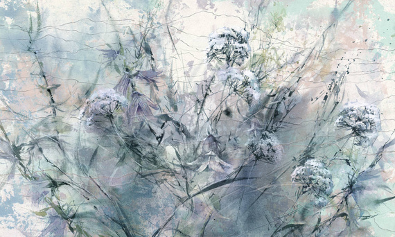 Fototapeta Polne kwiaty Lea