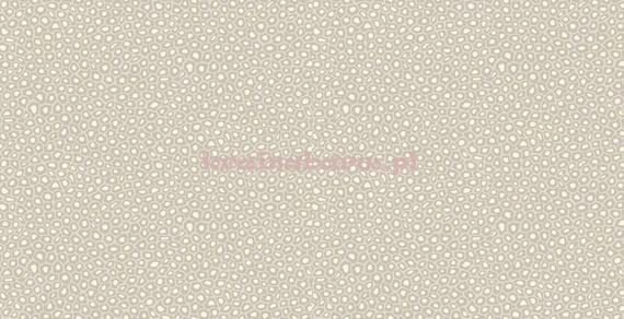 Tapeta 109/6030 Ardmore