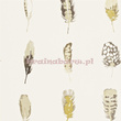 Tapeta 111072 Amazilia