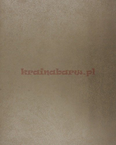 Tapeta W6303-02 Mako KOMODO