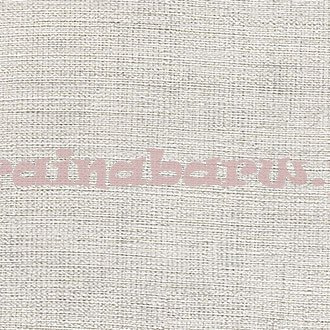 tapeta VP730 02 Textures Vegetales Abaca