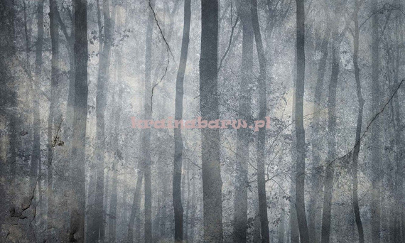 Fototapeta Drzewa w tajemniczym lesie Shadow 1
