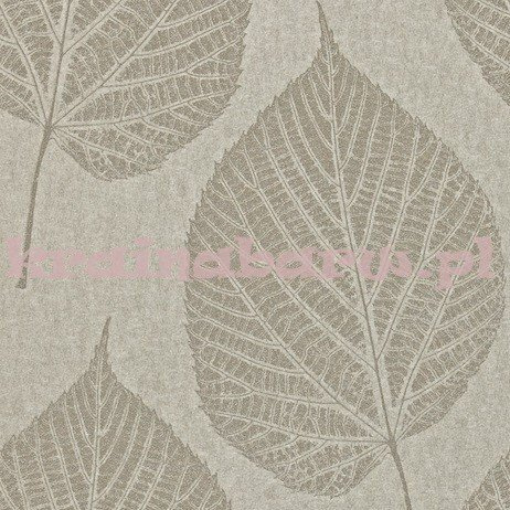 Tapeta LEAF 110376  Momentum 2