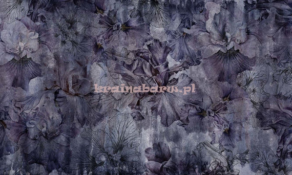 Fototapeta Magiczne Irysy Indi I Violet