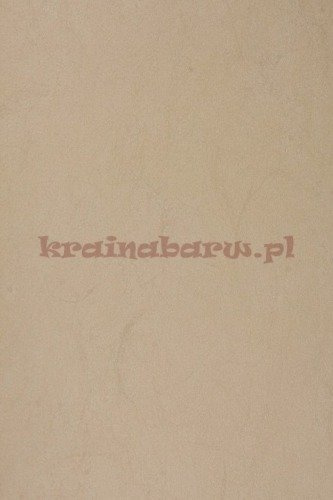 Tapeta CW5410-28  Quartz  TEATRO