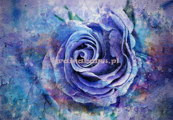 Fototapeta 13485 Kwiat