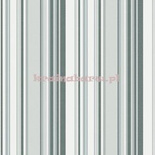 Tapeta G56408 Global Fusion