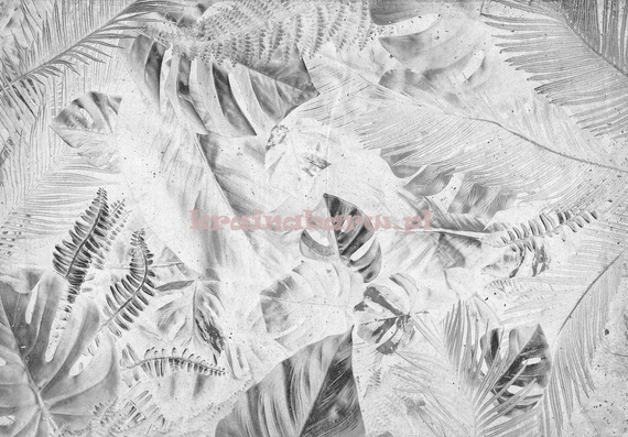 Fototapeta 13701 Liście na starym papierze