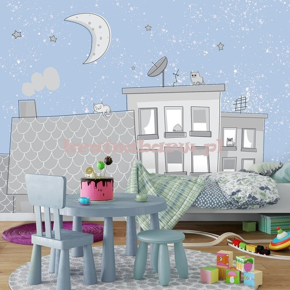 Fototapeta 13527 Nocne Koty