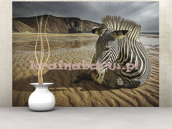 Fototapeta FM0299 Zebra na plaży