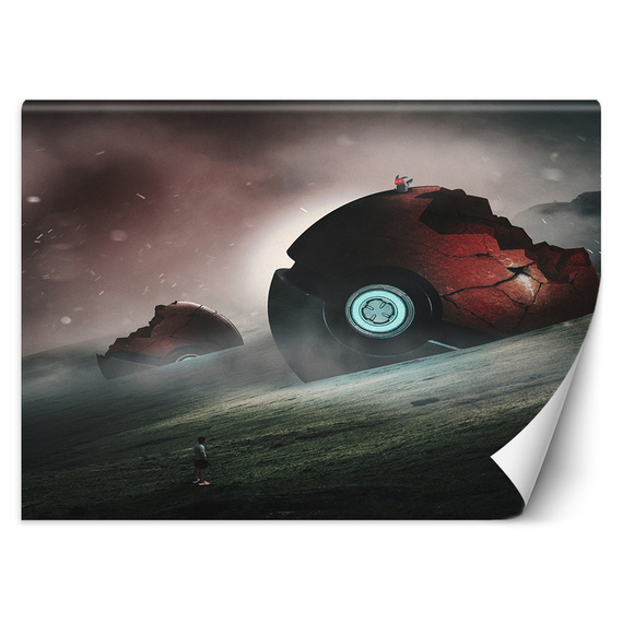 Fototapeta Zapomniane pokemony - Zehem Chong